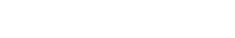 SERWTECH